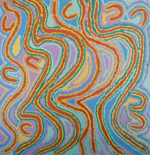 Wakirlpirri Jukurrpa (Dogwood Tree Dreaming)