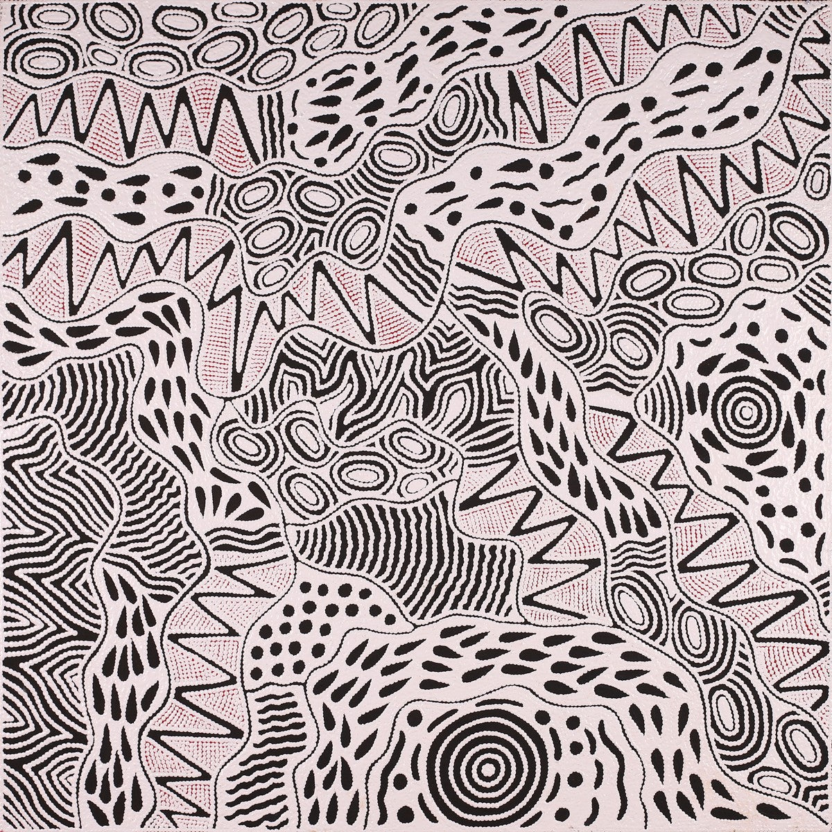 Pikilyi Jukurrpa (Vaughan Springs Dreaming)