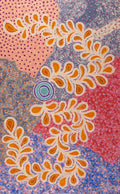 Kaliny-kalinypa / Ultukunpa Jukurrpa  -  Honey Grevillea Dreaming