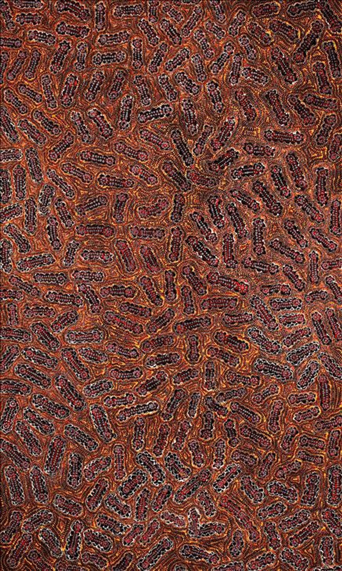 Ngapa Jukurrpa (Water Dreaming)  -  Pirlinyarnu