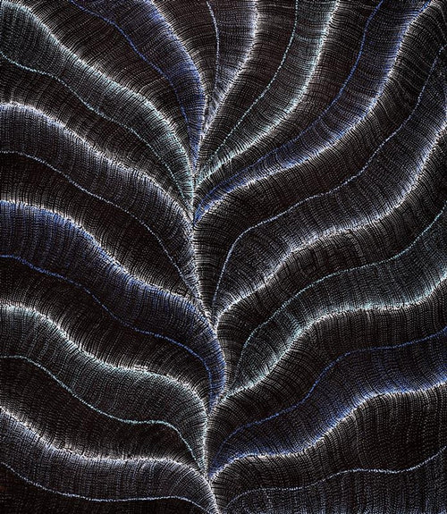 Wanakiji Jukurrpa (Bush Tomato Dreaming)