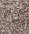 Lukarrara Jukurrpa (Desert Fringe-rush Seed Dreaming)