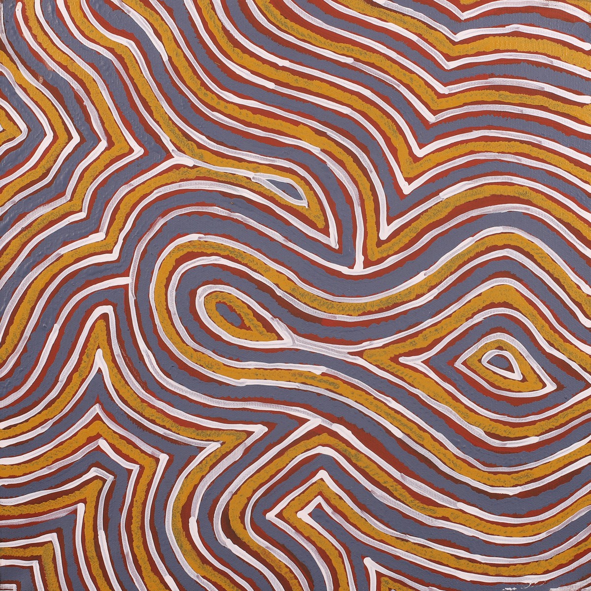 Ngalyipi Jukurrpa (Snake Vine Dreaming) - Purturlu