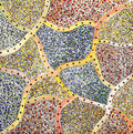 Wanakiji Jukurrpa (Bush Tomato Dreaming)