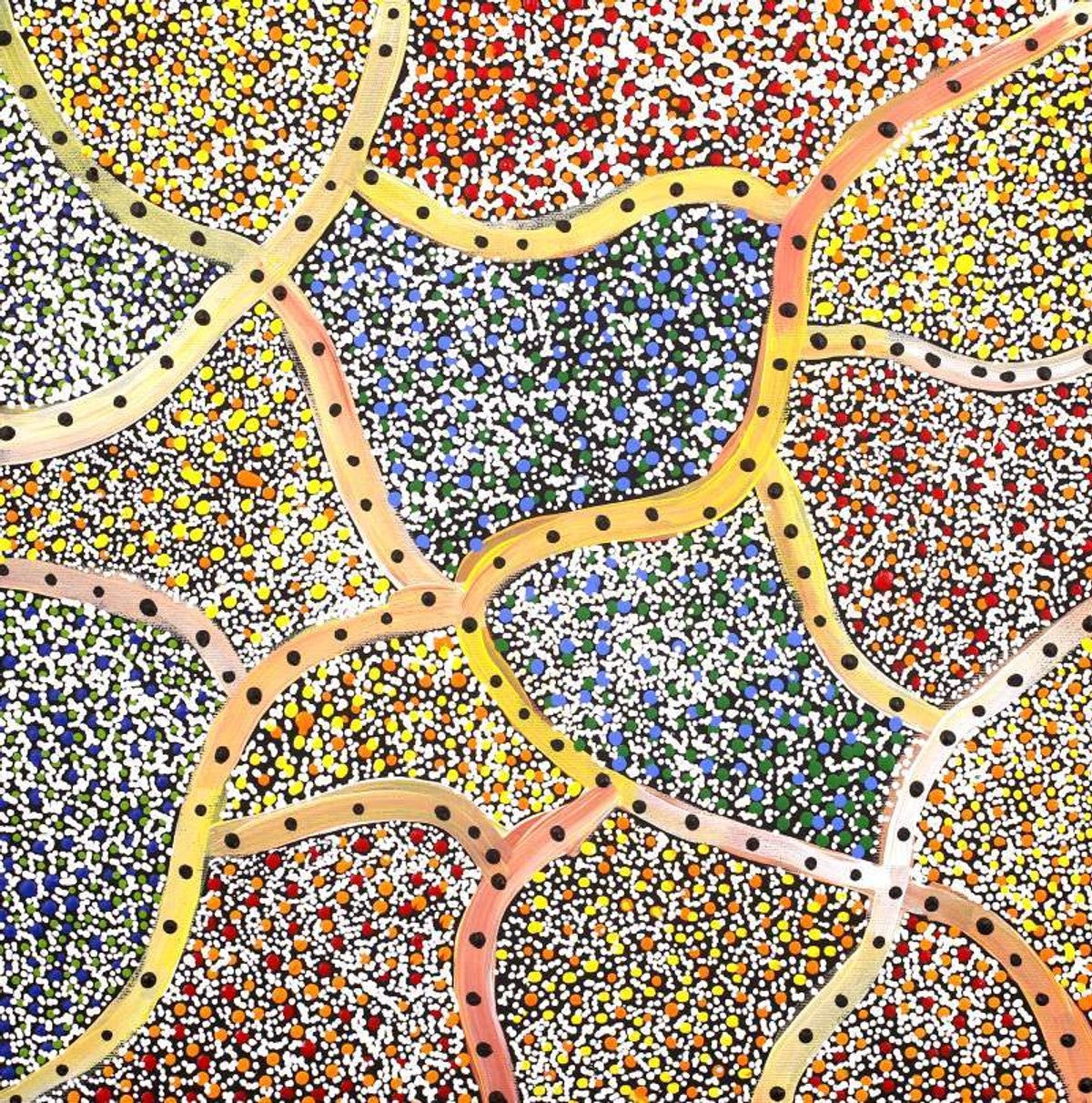 Wanakiji Jukurrpa (Bush Tomato Dreaming)