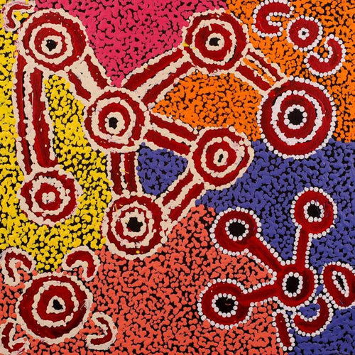 Wardapi Jukurrpa (Goanna Dreaming) - Yarripilangu