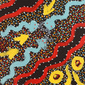 Ngapa Jukurrpa (Water Dreaming)  -  Puyurru
