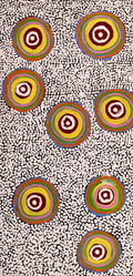 Janganpa Jukurrpa (Brush-tail Possum Dreaming)-  Mawurrji