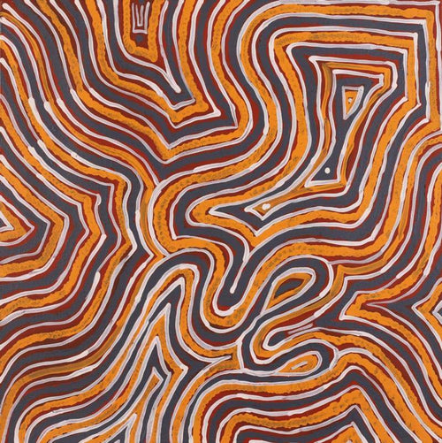 Warna Jukurrpa (Snake Dreaming)