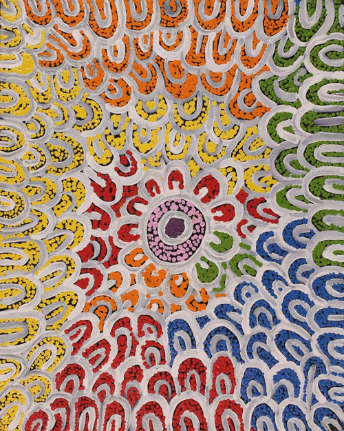 Wanakiji Jukurrpa (Bush Tomato Dreaming)