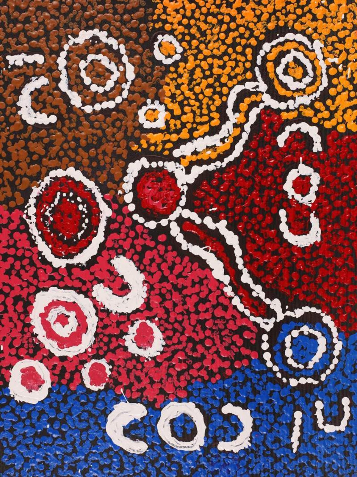 Wardapi Jukurrpa (Goanna Dreaming) - Yarripilangu