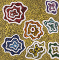 Ngapa Jukurrpa (Water Dreaming) - Wapurtali