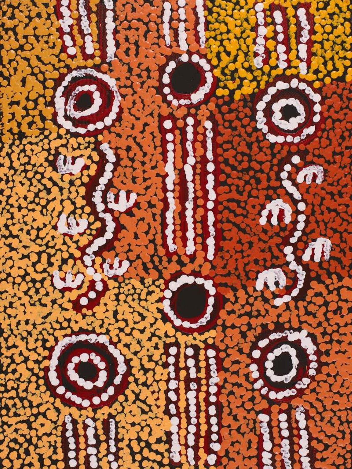 Wardapi Jukurrpa (Goanna Dreaming) - Yarripilangu