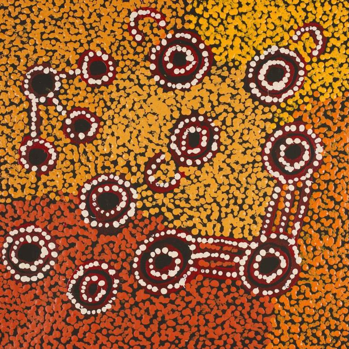 Wardapi Jukurrpa (Goanna Dreaming) - Yarripilangu
