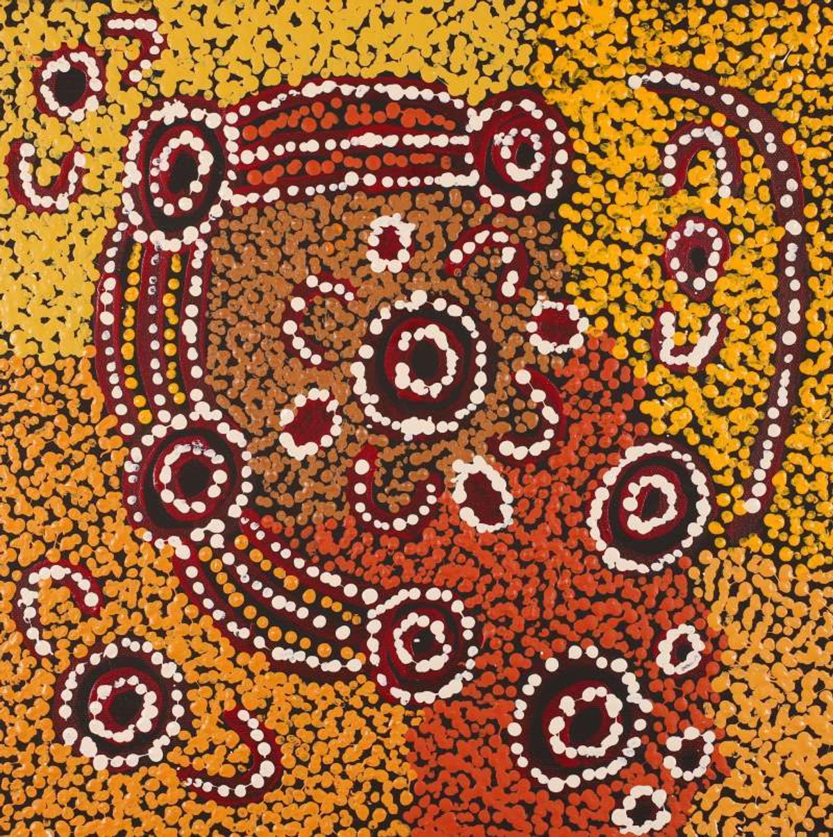 Wardapi Jukurrpa (Goanna Dreaming) - Yarripilangu