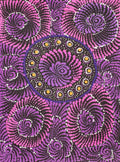 Pamapardu Jukurrpa (Flying Ant Dreaming)  - Warntungurru