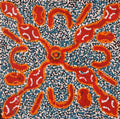 Ngapa Jukurrpa (Water Dreaming)  - Mikanji