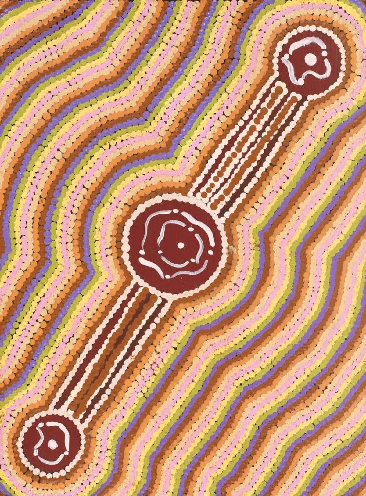 Yarla Jukurrpa (Bush Potato Dreaming) - Cockatoo Creek