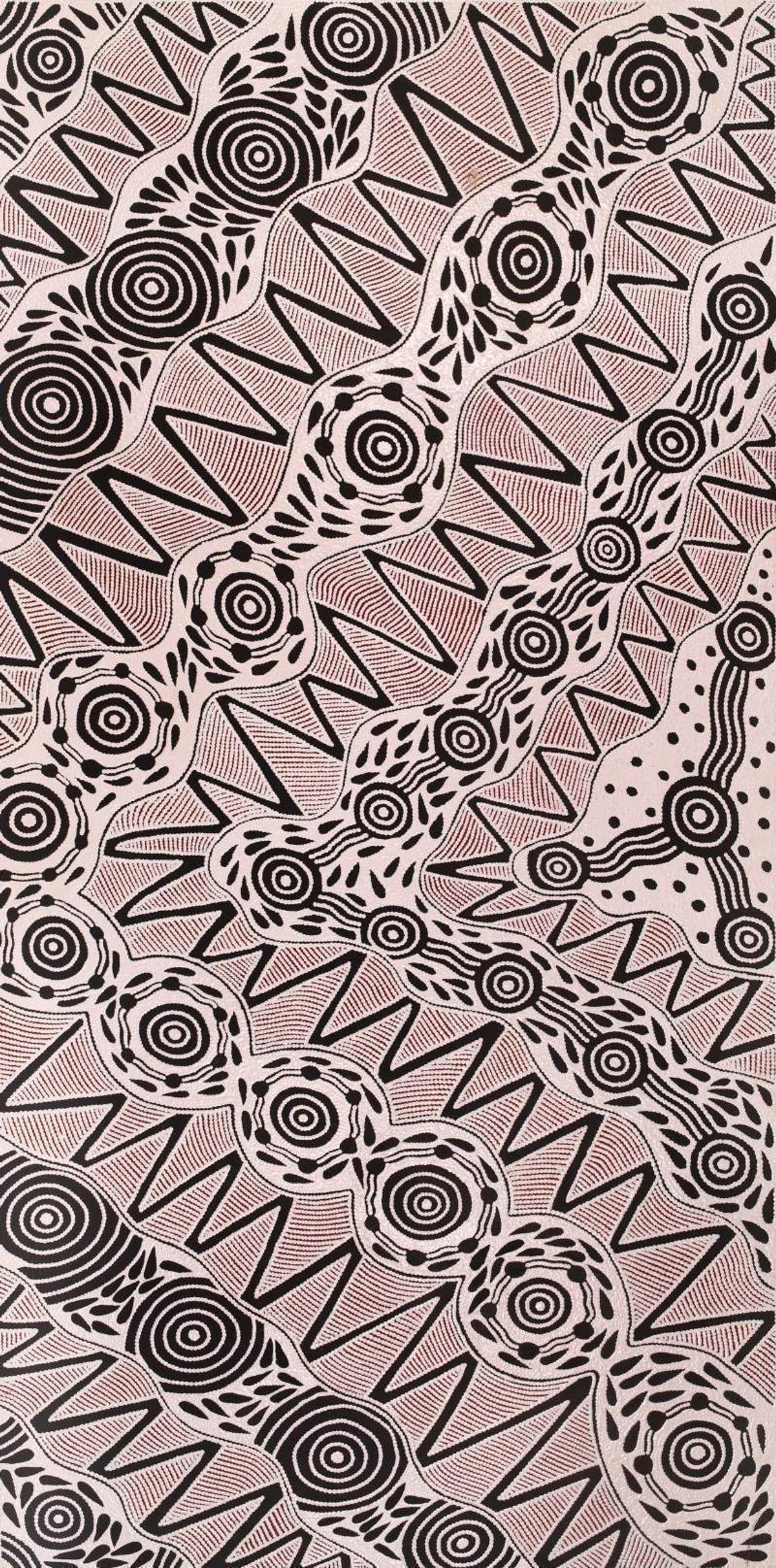 Pikilyi Jukurrpa (Vaughan Springs Dreaming)