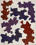 Patterns of the Landscape around Yuendumu