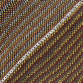 Ngatijirri Jukurrpa (Budgerigar Dreaming)