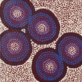 Nguru Yurntumu-wana (Country around Yuendumu)