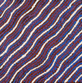 Ngapa Jukurrpa (Water Dreaming)  -  Puyurru