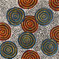 Napaljarri-warnu Jukurrpa (Seven Sisters Dreaming)