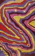 Pikilyi Jukurrpa (Vaughan Springs Dreaming)