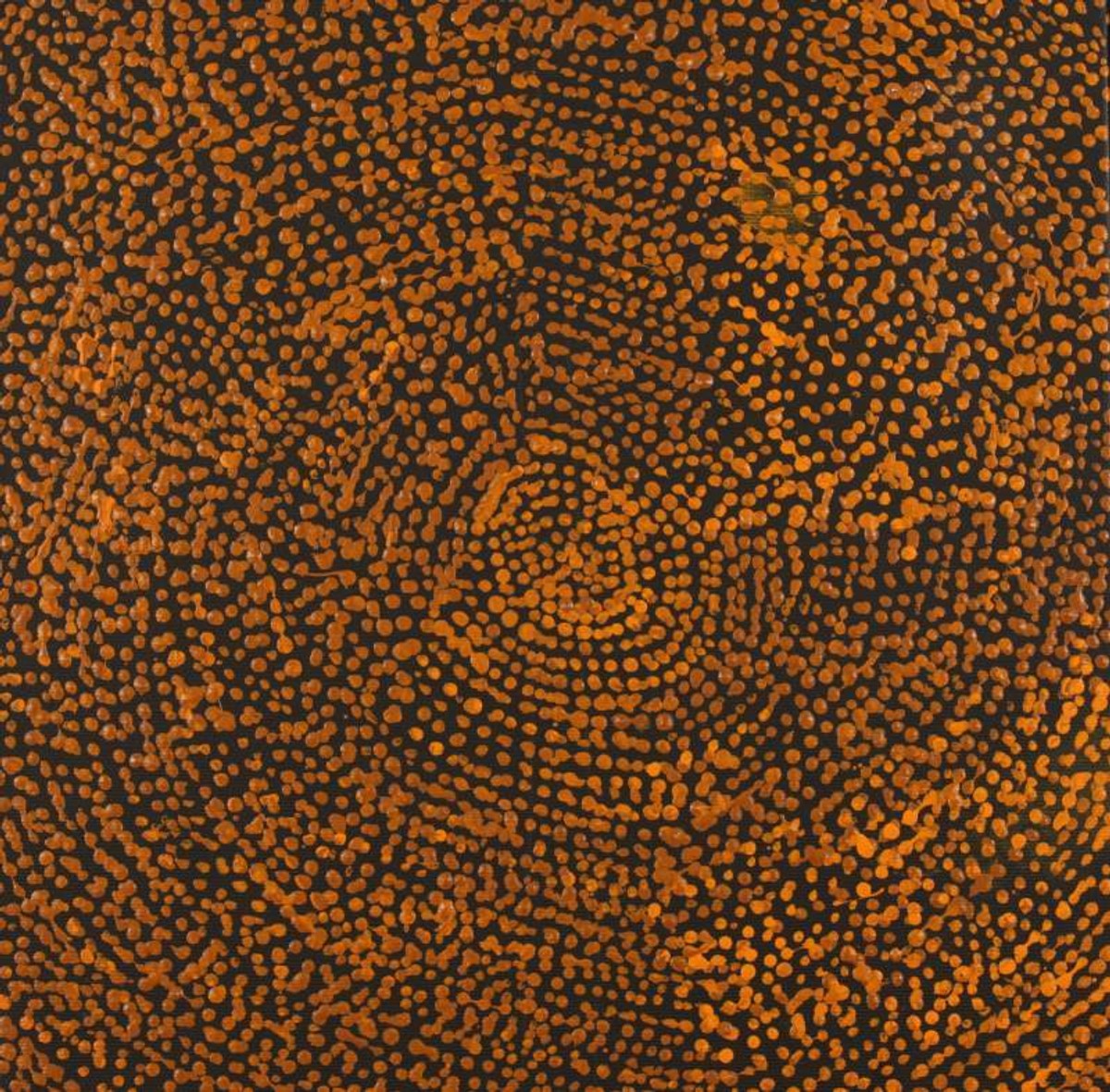 Ngapa Jukurrpa (Water Dreaming)  -  Puyurru