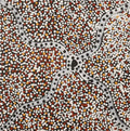 Ngapa Jukurrpa (Water Dreaming) - Wapurtali