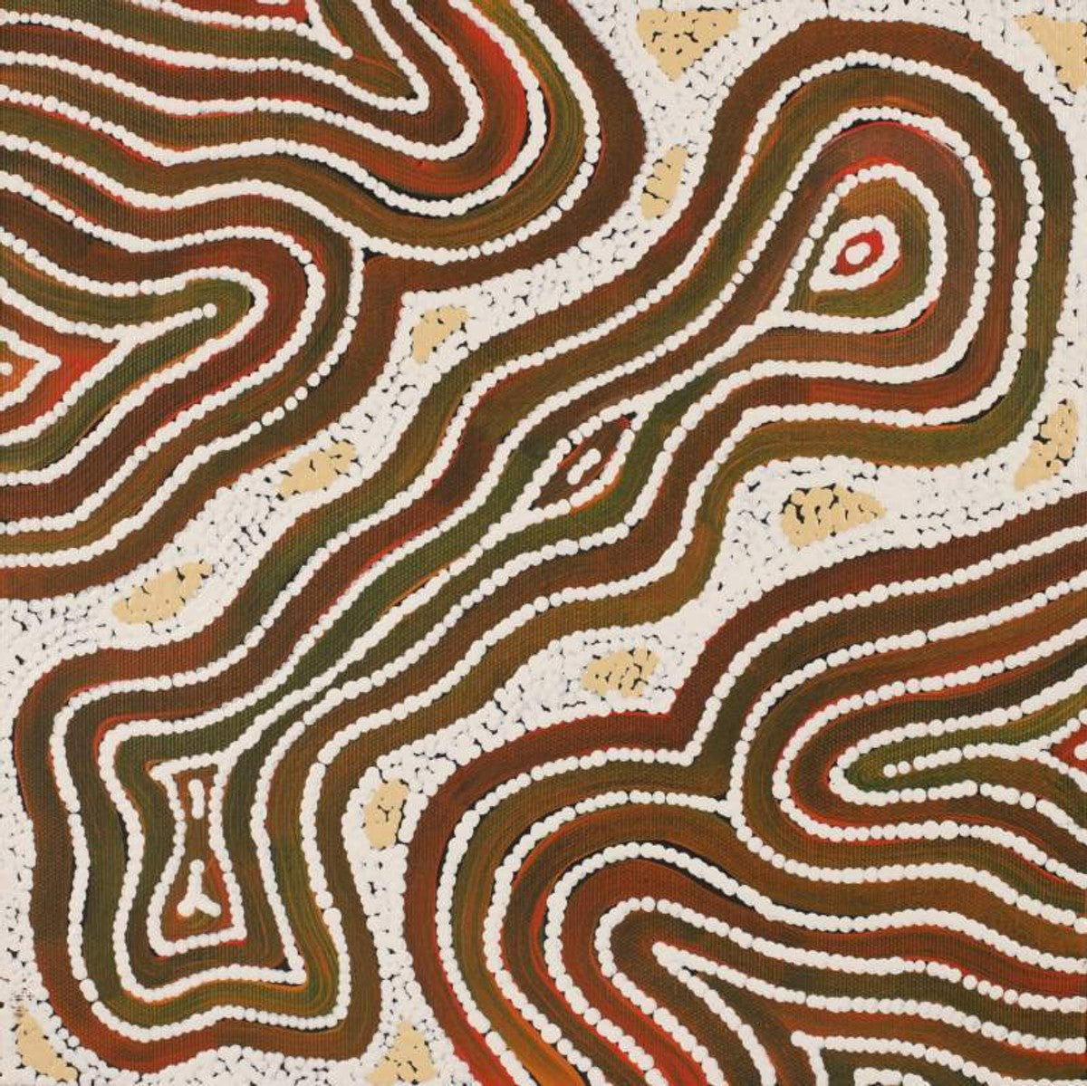 Yarla Jukurrpa (Bush Potato Dreaming) - Cockatoo Creek