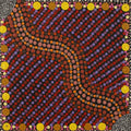 Wanakiji Jukurrpa (Bush Tomato Dreaming)