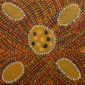 Ngurlu Jukurrpa (Native Seed Dreaming)