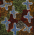 Ngatijirri Jukurrpa (Budgerigar Dreaming)
