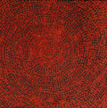 Ngapa Jukurrpa (Water Dreaming)  -  Puyurru