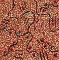 Wardapi Jukurrpa (Goanna Dreaming) - Yarripilangu