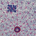 Ngatijirri Jukurrpa (Budgerigar Dreaming)