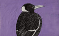 Jurlpu kuja kalu nyinami Yurntumu-wana (Birds that live around Yuendumu)