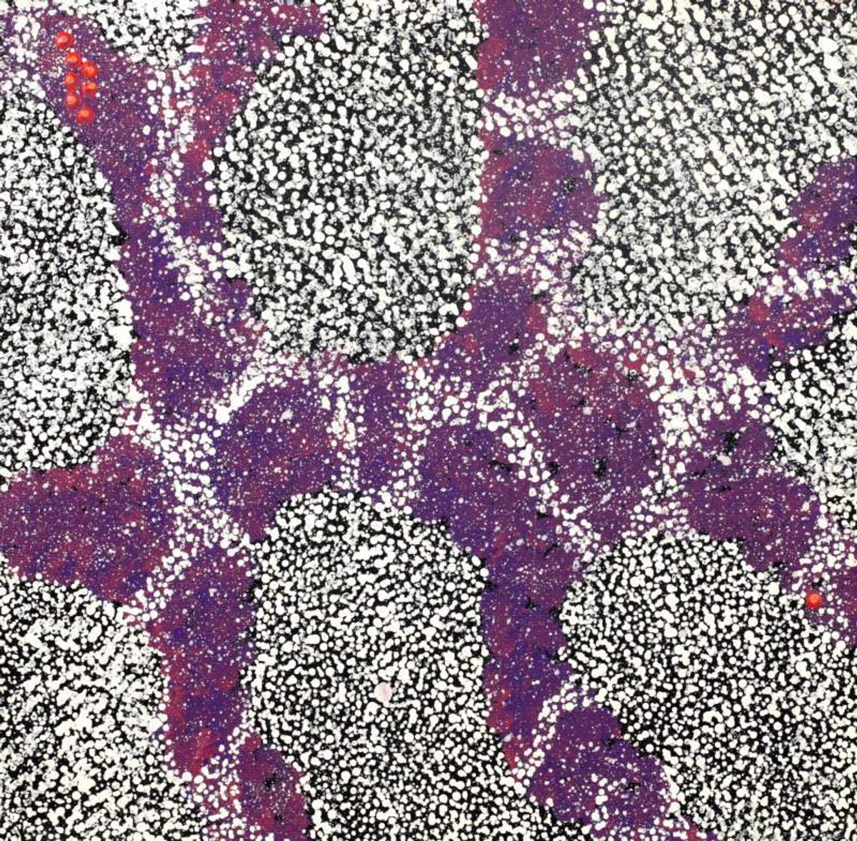 Yanjirlpirri or Napaljarri-Warnu Jukurrpa (Star or Seven Sisters Dreaming)