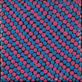 Ngapa Jukurrpa (Water Dreaming)  -  Puyurru