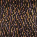 Wanakiji Jukurrpa (Bush Tomato Dreaming)