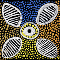 Karnta Jukurrpa (Womens Dreaming)