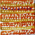 Wanakiji Jukurrpa (Bush Tomato Dreaming)