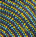 Jintiparnta Jukurrpa (Desert Truffle Dreaming) - Mina Mina