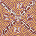 Ngarlkirdi Jukurrpa (Witchetty Grub Dreaming)