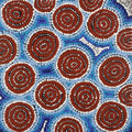 Ngalyipi Jukurrpa (Snake Vine Dreaming) - Purturlu