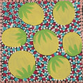 Wanakiji Jukurrpa (Bush Tomato Dreaming)