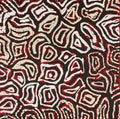 Ngapa Jukurrpa (Water Dreaming)  - Mikanji