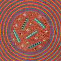 Wanakiji Jukurrpa (Bush Tomato Dreaming)